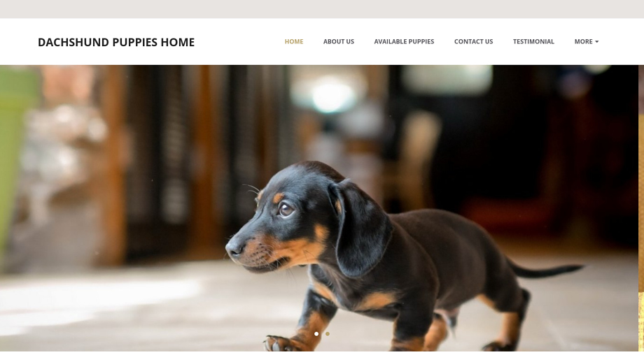 Greatestmatehome.com - Dachshund Puppy Scam Review