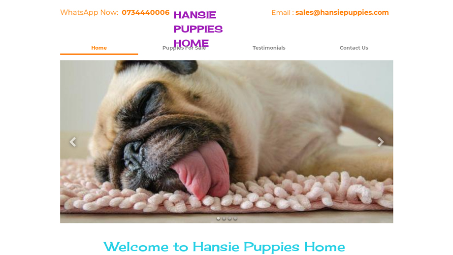 Hansiepuppies.com - Pug Puppy Scam Review