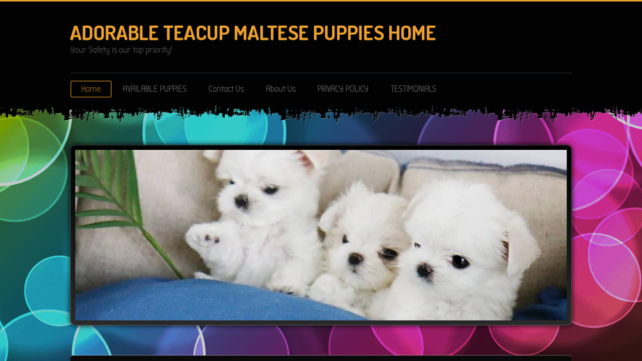 Happyteacuphome.com - Maltese Puppy Scam Review