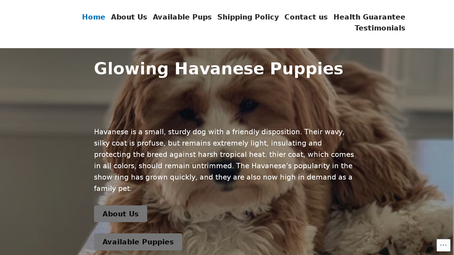 Havaneseonline.com - Havanese Puppy Scam Review