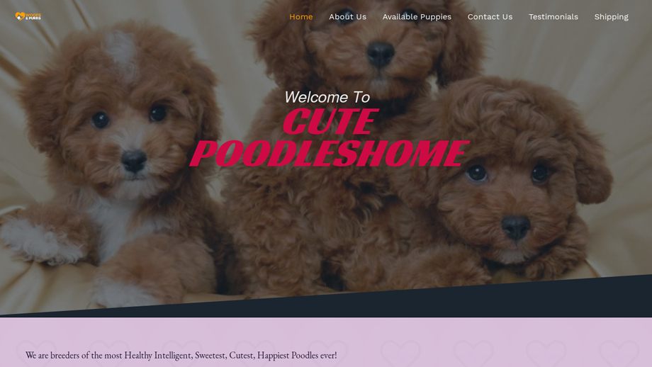 Joypoodlehome.com - Poodle Puppy Scam Review