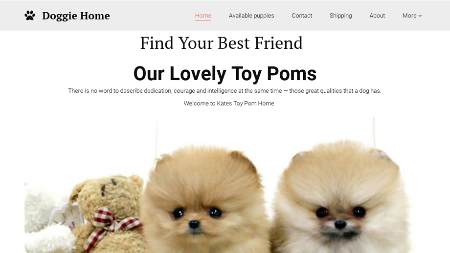 Katestoypoms.com - Pomeranian Puppy Scam Review