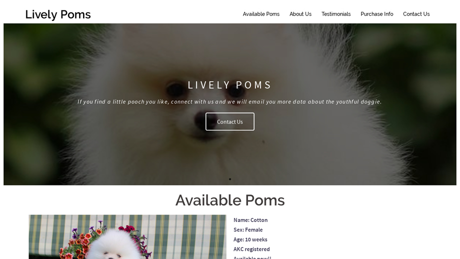 Livelypoms.com - Pomeranian Puppy Scam Review