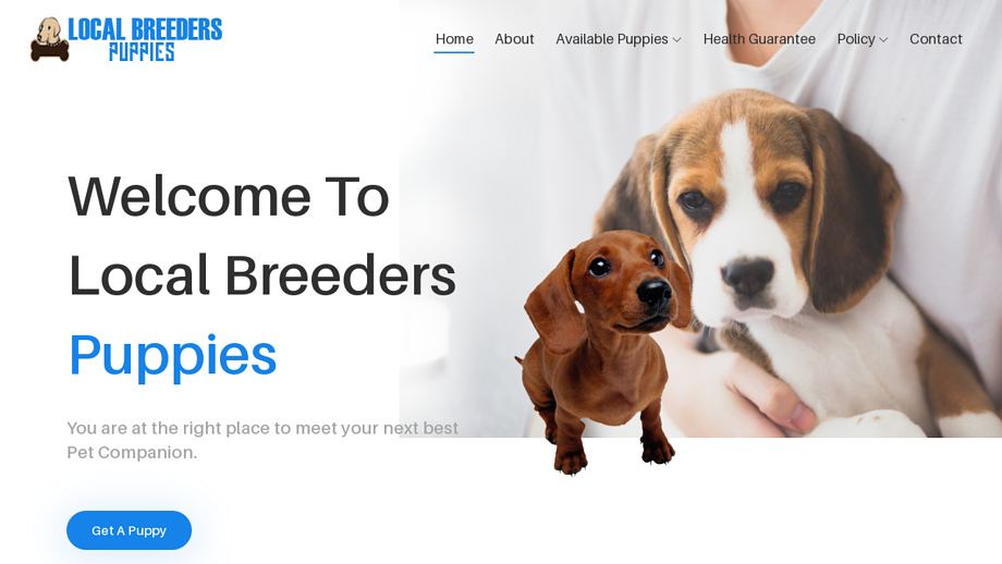 Localbreederspuppies.com - Beagle Puppy Scam Review