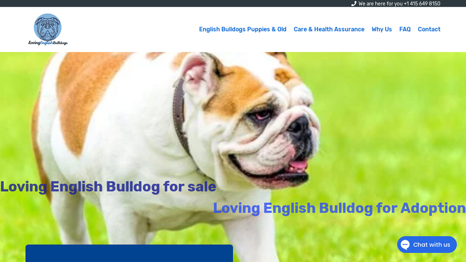 Lovingbulldogs.com - English Bulldog Puppy Scam Review