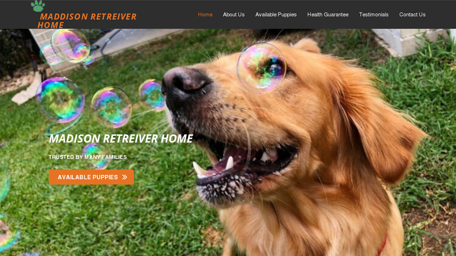 Maddisonretreiverhome.us - Golden Retriever Puppy Scam Review