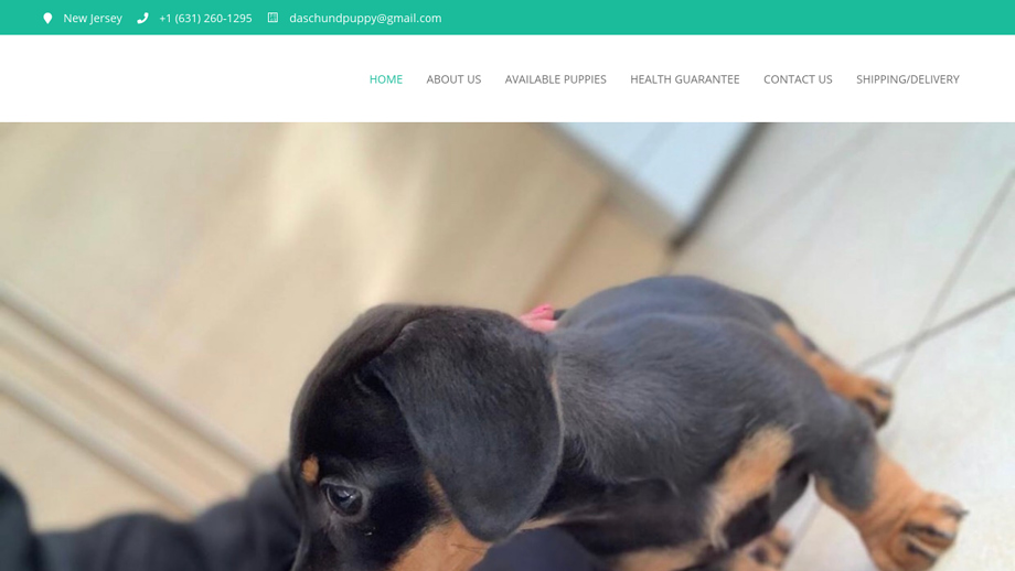 Miniaturedachshundpuppy4home.com - Dachshund Puppy Scam Review