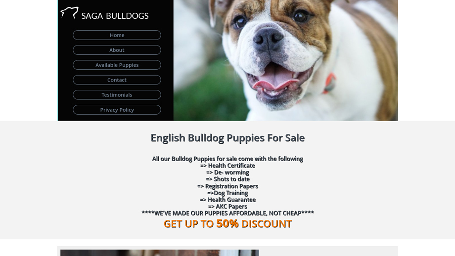 Myamazingbullies.com - English Bulldog Puppy Scam Review