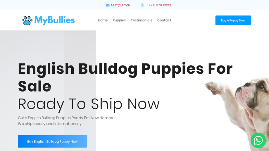 Mybulldogpuppies.com - English Bulldog Puppy Scam Review