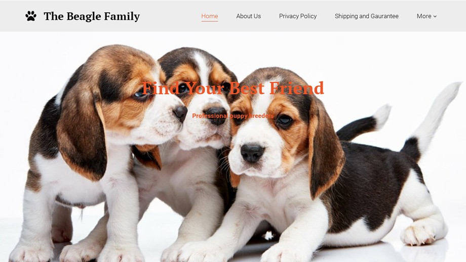 Mypetbreeder.com - Beagle Puppy Scam Review