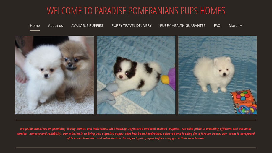 Paradisepomeranianpupshomes.com - Pomeranian Puppy Scam Review