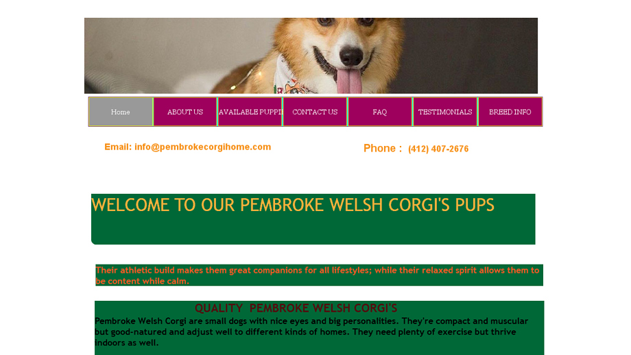 Pembrokecorgihome.com - Corgi Puppy Scam Review