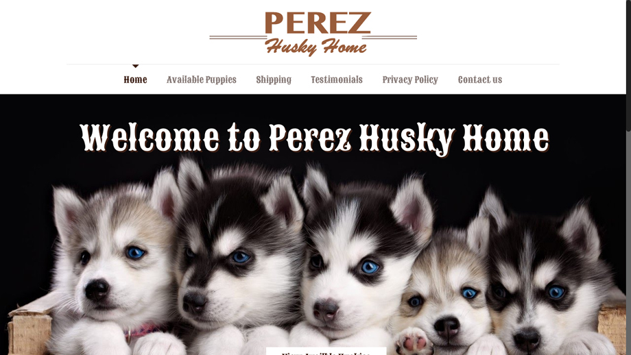 Perezhuskyhome.com - Husky Puppy Scam Review