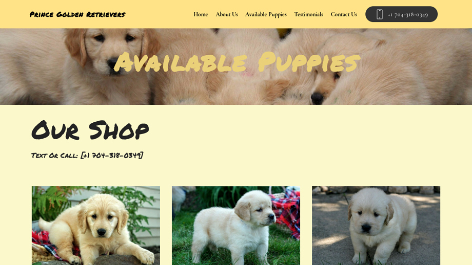 Princegoldenretrievers.com - Golden Retriever Puppy Scam Review