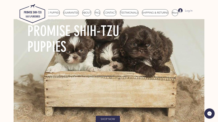 Promiseshihtzu.com - Shihtzu Puppy Scam Review