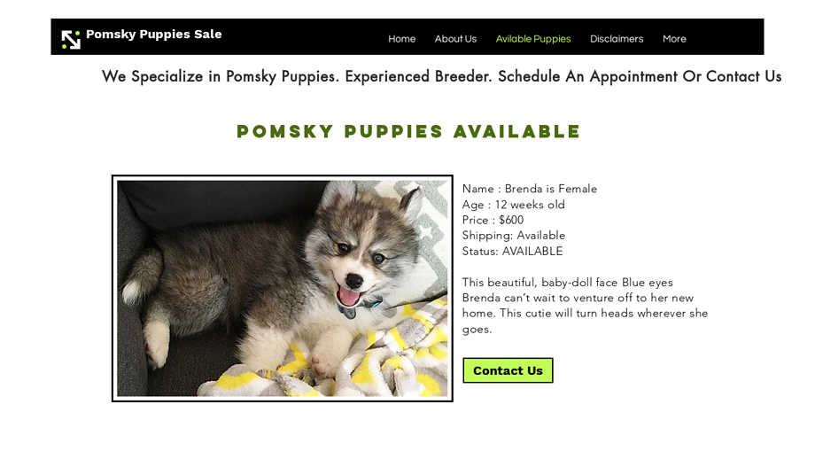 Puppyhappyforme.com - Pomeranian Puppy Scam Review