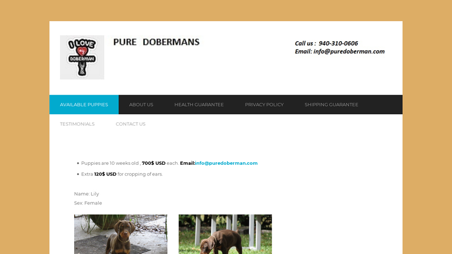 Puredoberman.com - Doberman Pinscher Puppy Scam Review