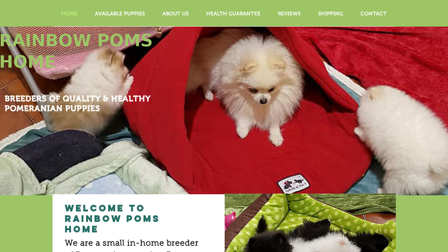 Rainbowpomeranianpuppies.com - Pomeranian Puppy Scam Review