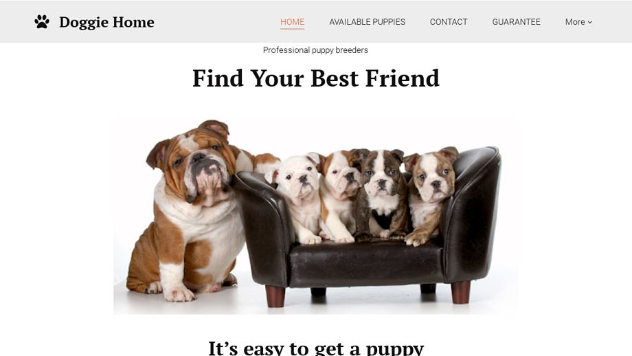 Reyesenglishbulldogs.com - English Bulldog Puppy Scam Review