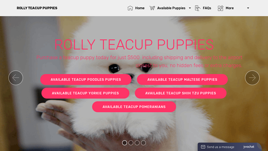 Rolly-teacuppuppies.com - Yorkshire Terrier Puppy Scam Review