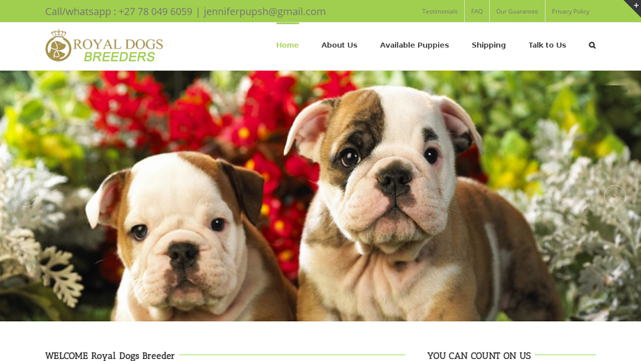 Royaldogsbreeder.com - English Bulldog Puppy Scam Review