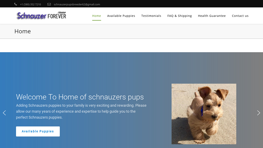 Schnauzerforeverhome.com - Schnauzer Puppy Scam Review