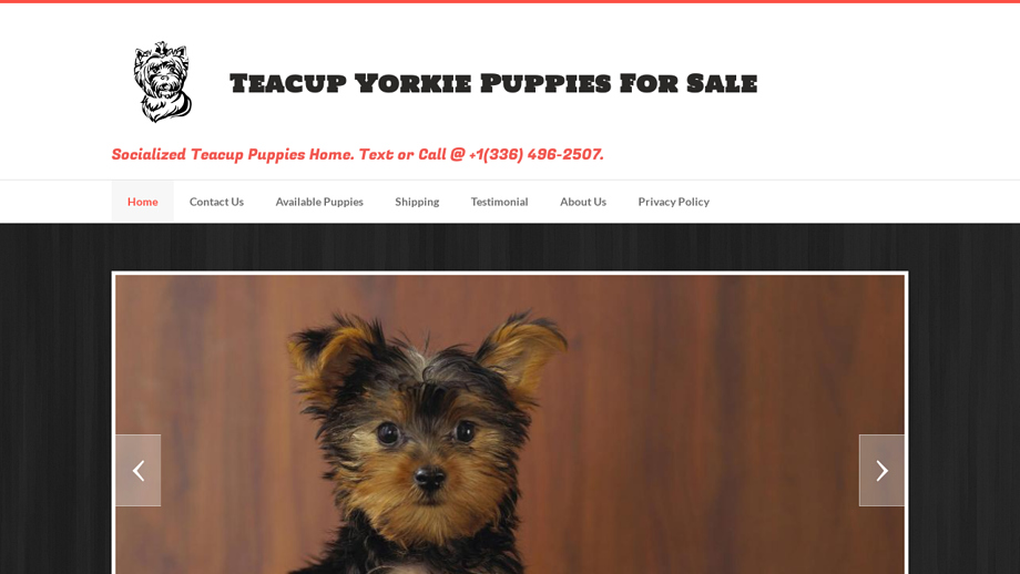 Socializedyorkieshome.com - Yorkshire Terrier Puppy Scam Review