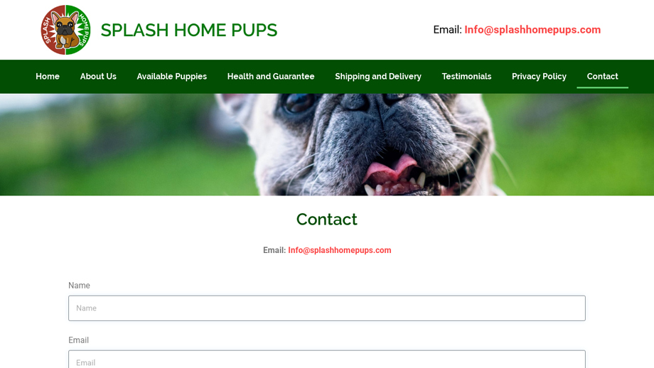 Splashhomepups.com - French Bulldog Puppy Scam Review