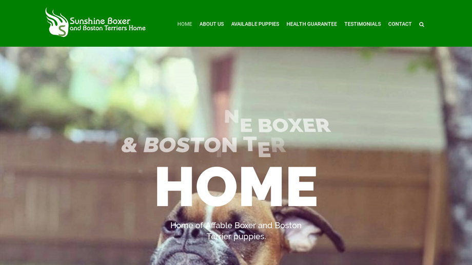 Sunshineboxerandbostonterriershome.com - Boston Terrier Puppy Scam Review