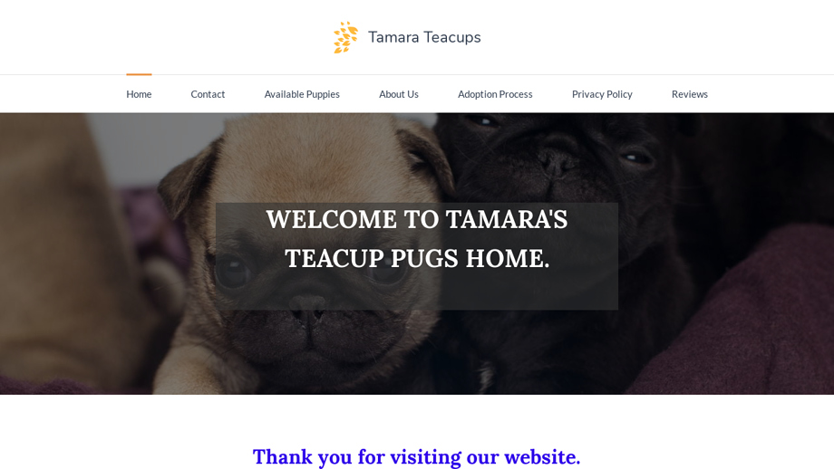 Tamaratcupshome.net - Yorkshire Terrier Puppy Scam Review