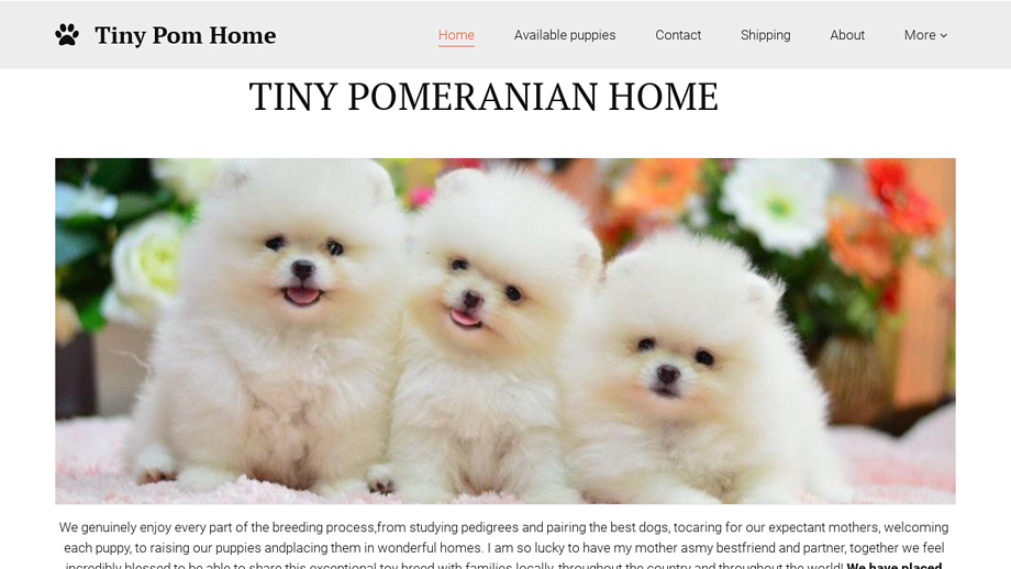 Tinypomhome.com - Pomeranian Puppy Scam Review