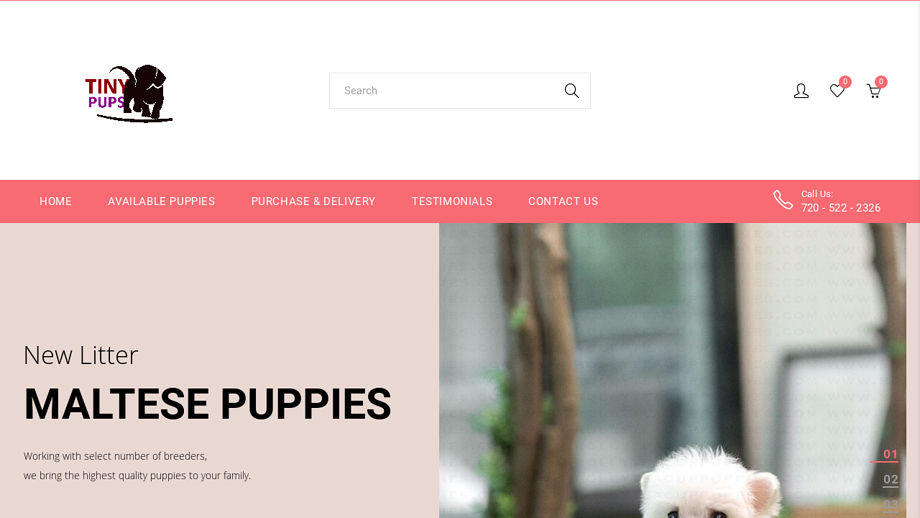 Tinypups.co - Maltese Puppy Scam Review