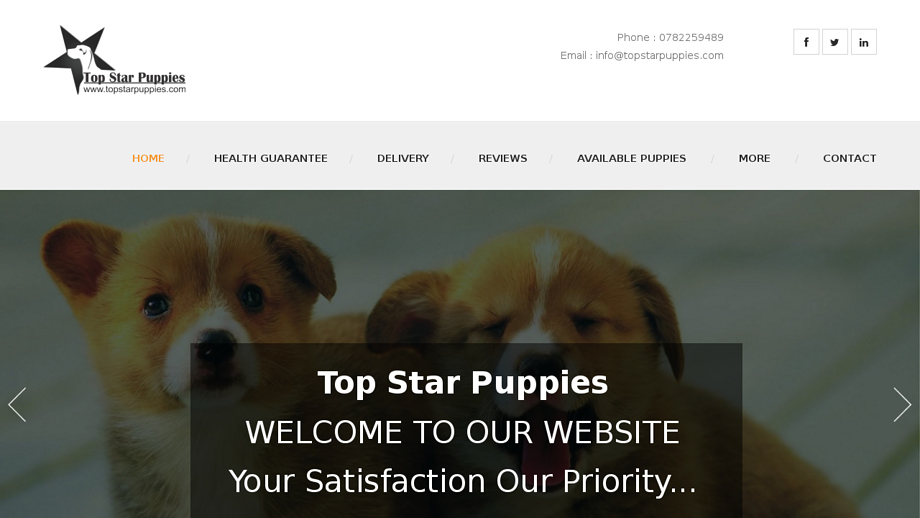 Topstarpuppies.com - Havanese Puppy Scam Review