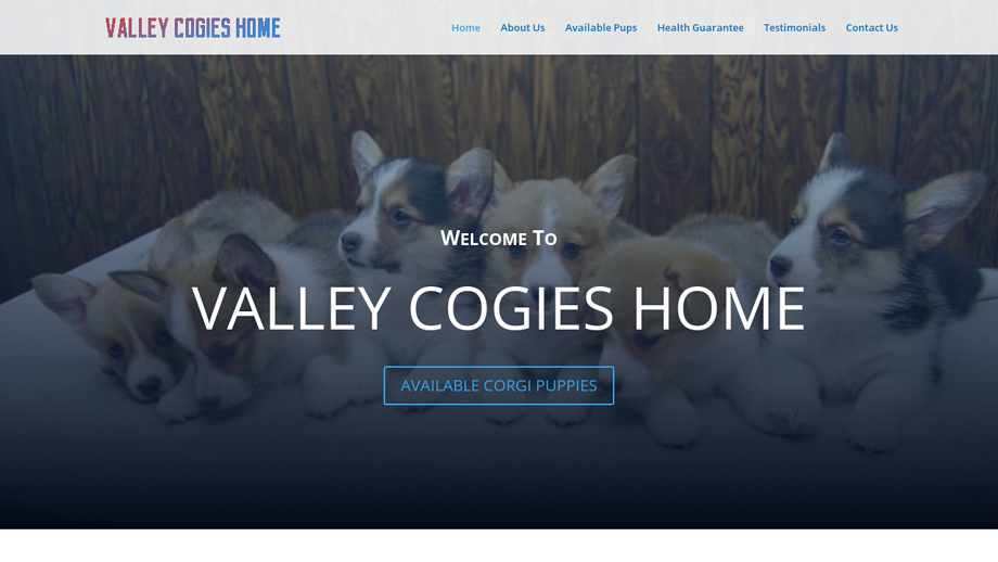 Valleycogieshome.com - Corgi Puppy Scam Review