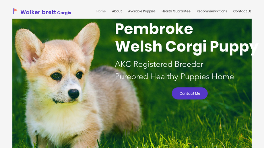 Walkerbrettcorgis.com - Corgi Puppy Scam Review