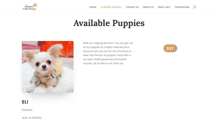 Adorabletinyfaces.com - Chihuahua Puppy Scam Review