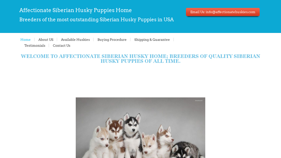 Affectionatehuskies.com - Husky Puppy Scam Review