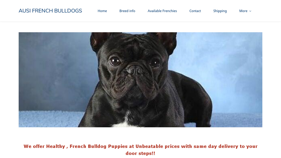 Ausifrenchies.com - French Bulldog Puppy Scam Review