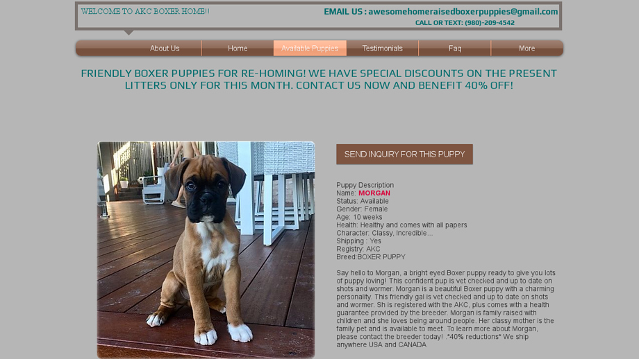 Awesomehomeraisedboxerspups.com - Boxer Puppy Scam Review