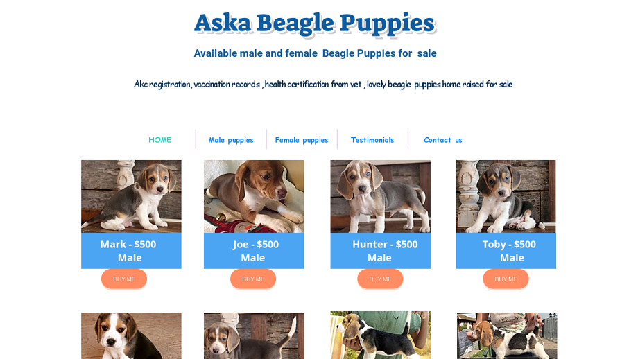 Beaglepups4xmas.com - Beagle Puppy Scam Review