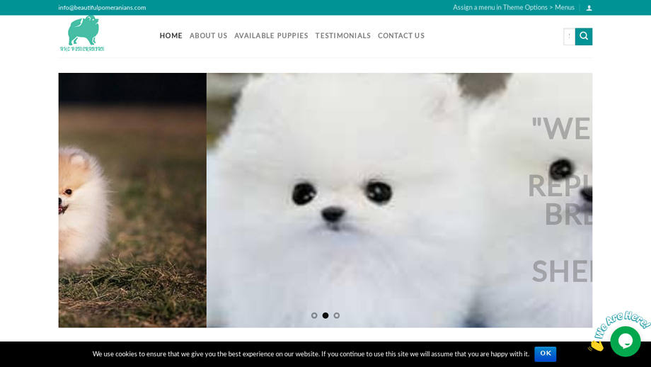 Beautifulpomeranians.com - Pomeranian Puppy Scam Review