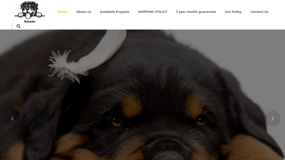 Braverottweilerpups.com - Rottweiler Puppy Scam Review