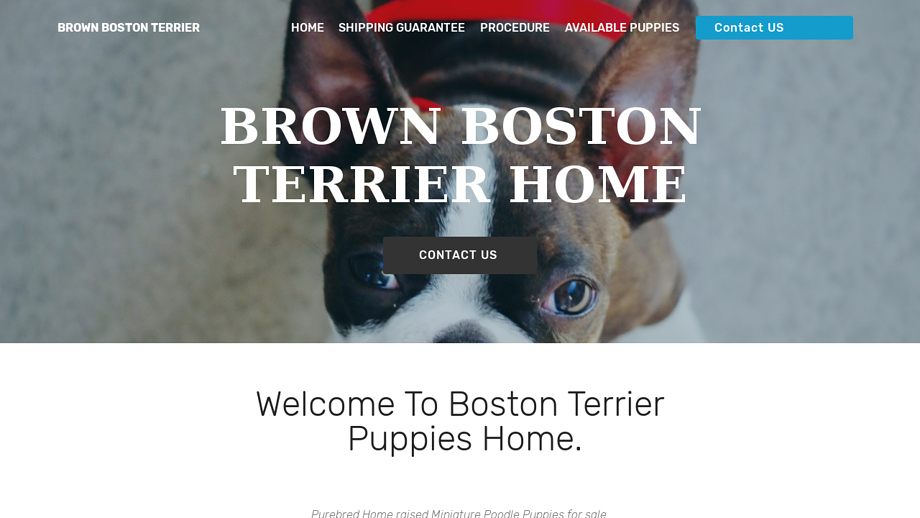 Brownhomebostonterrierpups.com - Boston Terrier Puppy Scam Review