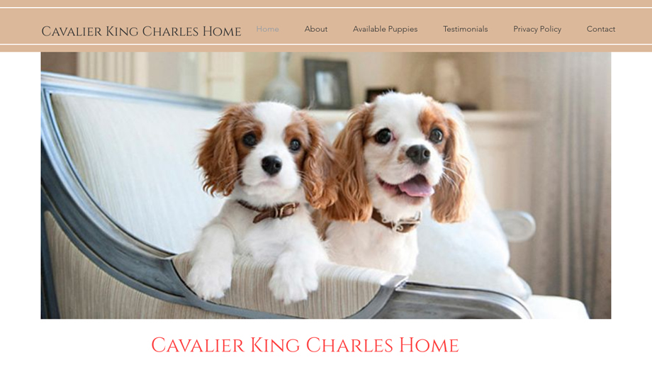 Cavalierkingforme.com - Cavalier King Charles Spaniel Puppy Scam Review