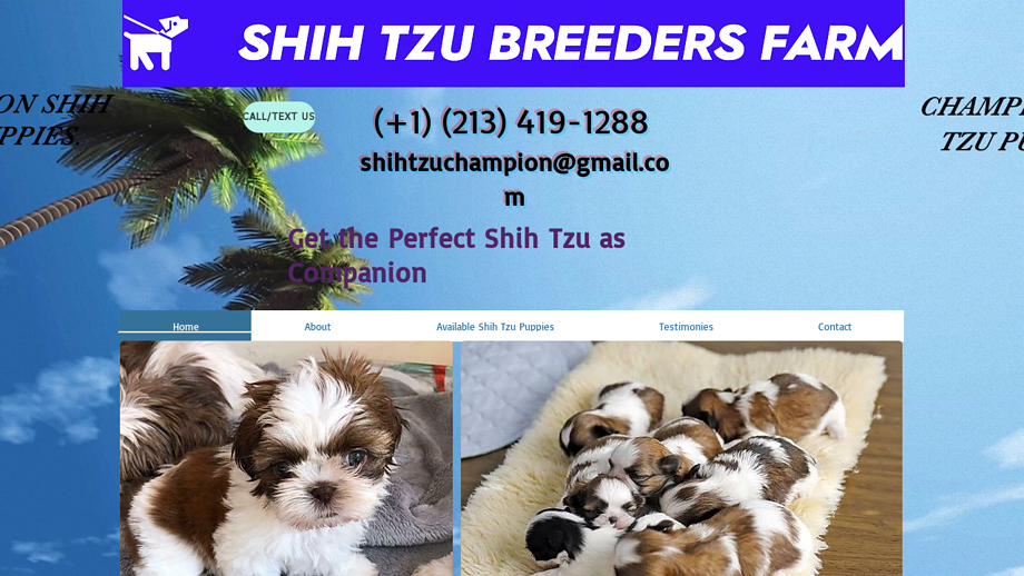 Championshihtzupups.com - Shihtzu Puppy Scam Review