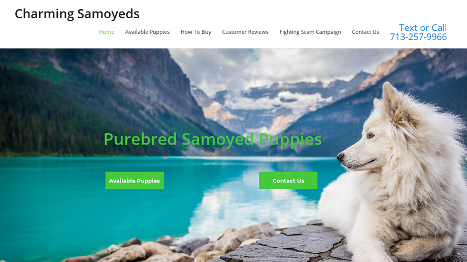 Charmingsamoyeds.com - Samoyed Puppy Scam Review