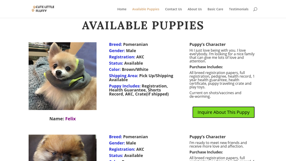 Cutelittlefluffy.com - Pomeranian Puppy Scam Review