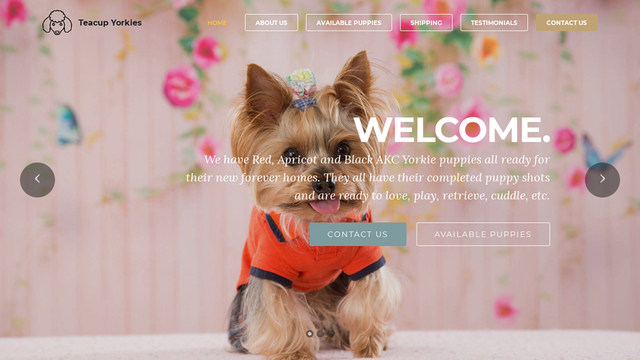 Cutieteacupyorkie.com - Yorkshire Terrier Puppy Scam Review