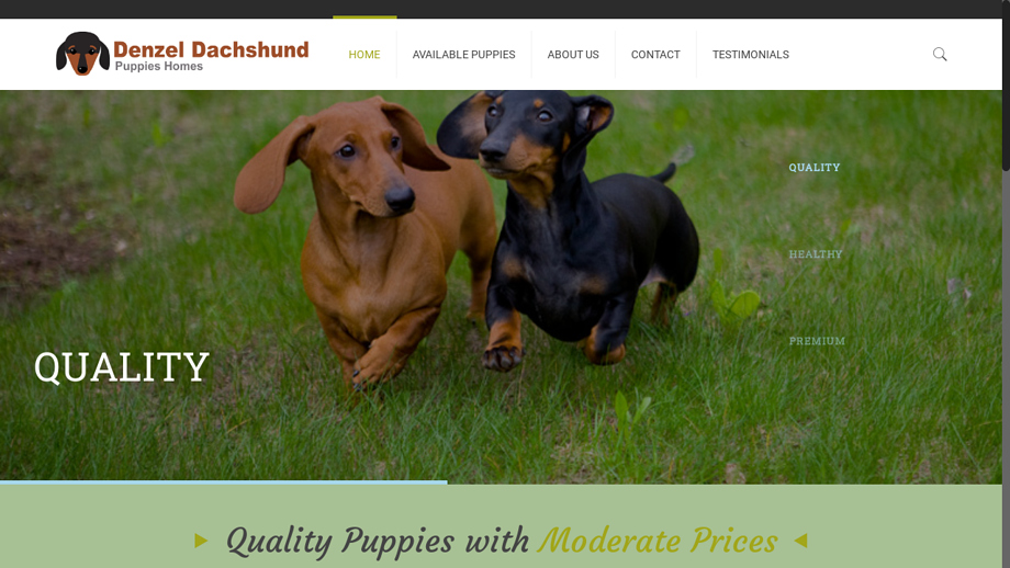 Denzeldachshundpuppies.com - Dachshund Puppy Scam Review