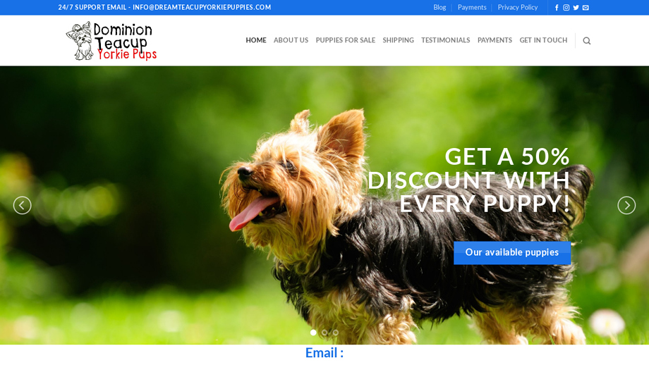 Dominionteacupyorkiepups.com - Yorkshire Terrier Puppy Scam Review